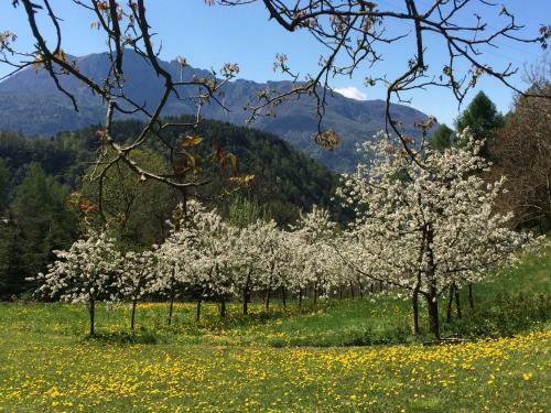 Bed & Breakfast Maso Zont