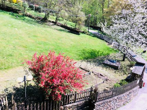 Bed & Breakfast Maso Zont
