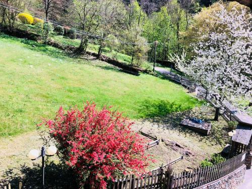 Bed & Breakfast Maso Zont