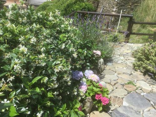 Hostal Camere Giuliano Basso