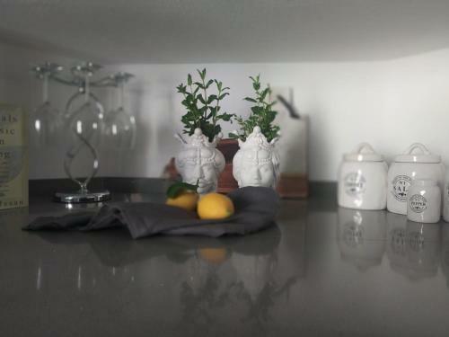 Vernazza Luxury Apartment