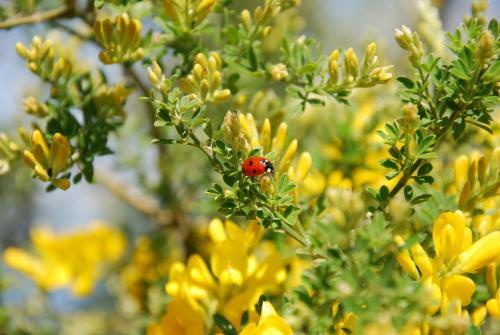 Bed & Breakfast Giardino 21 Marzo