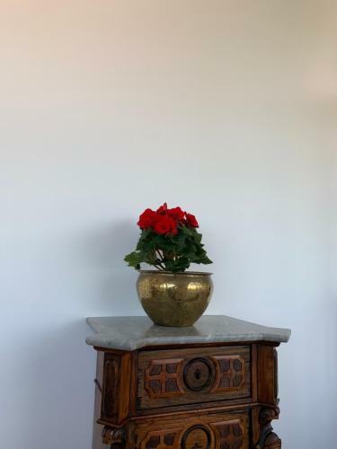 Bed & Breakfast La Casa Del Sole