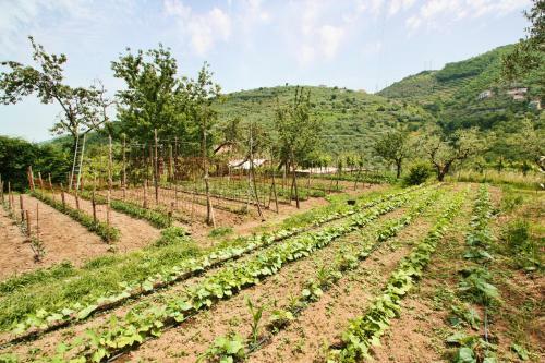 Agroturismo Agriturismo La Chiana