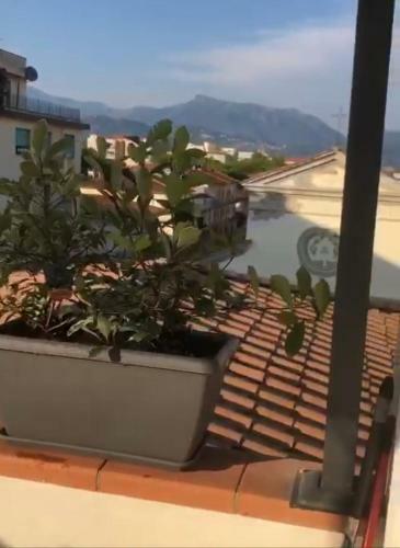 Apartamento Attico Molto Luminoso