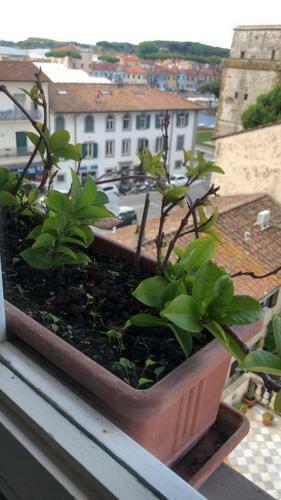 Apartamento Attico Molto Luminoso