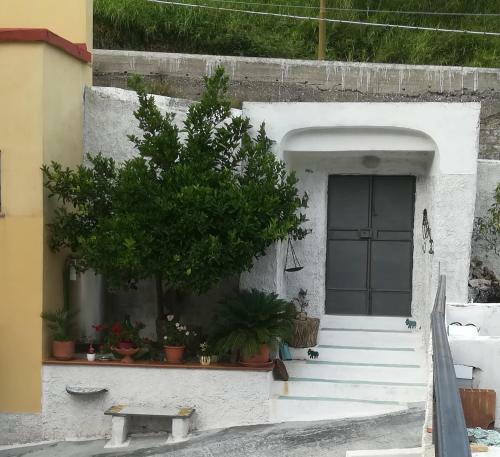 Bed & Breakfast Il Covo Delle Civette