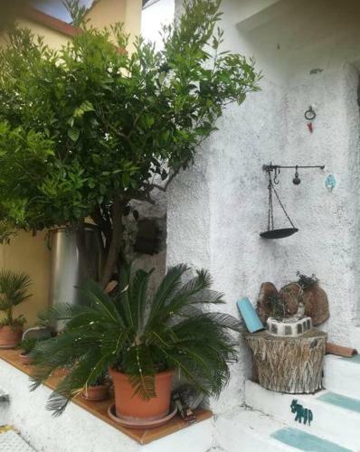 Bed & Breakfast Il Covo Delle Civette