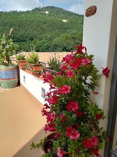 Bed & Breakfast Il Covo Delle Civette
