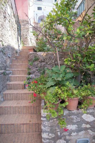 Apartamento Casa Di Zia Rosaria