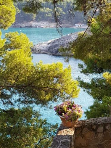 Villetta Lemacine Pugnochiuso