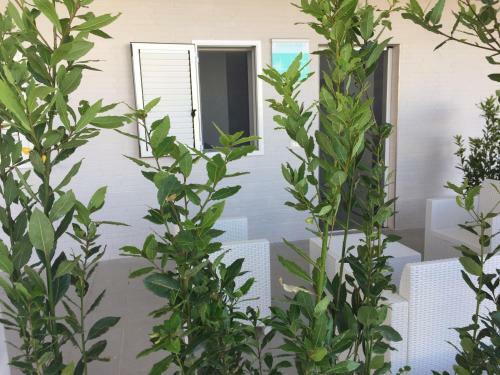 Ricciardelli Holiday Homes