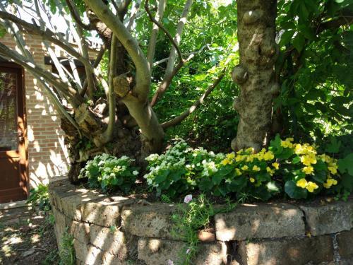 Apartamento Veronauptoyou Garden