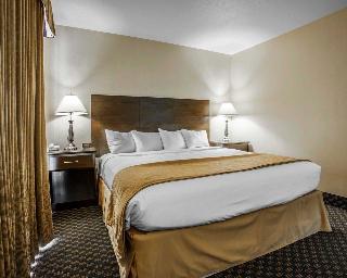 Hotel Quality Inn And Suites