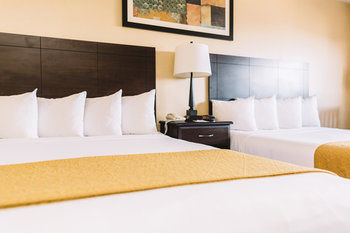 Hotel Quality Inn And Suites