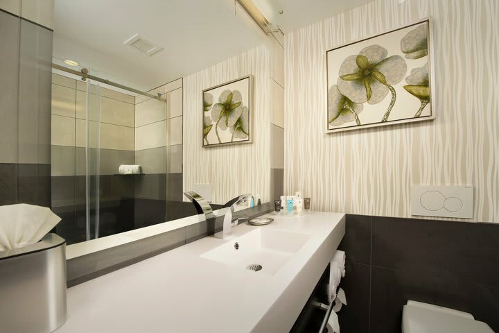 Hotel Holiday Inn Seatac