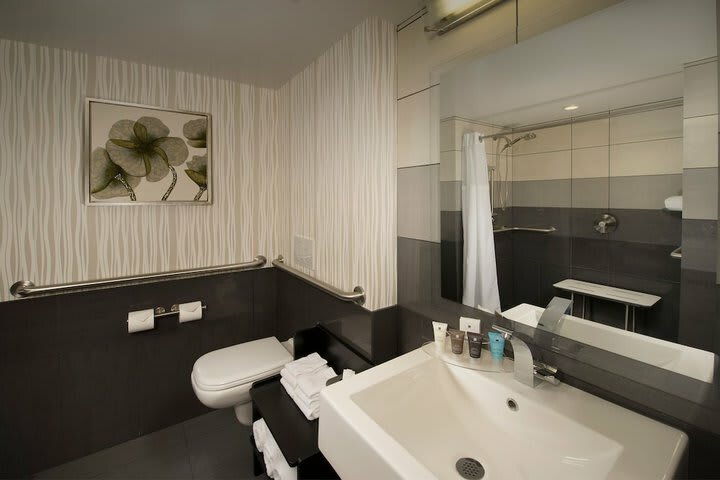 Hotel Holiday Inn Seatac