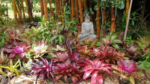 Yarrandabbi Dreaming Boutique B&B
