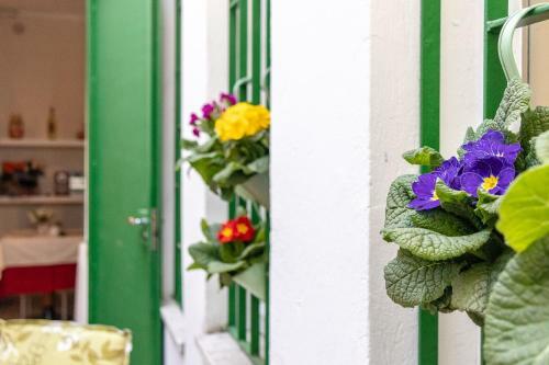 B&B Accademia