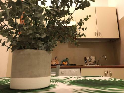 Apartamento Appartamenti Affitti Brevi Verona / G.b Rossi Friendly
