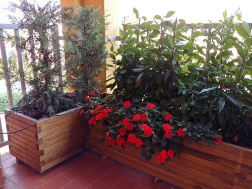 Apartamento 'la Quercia' Top Floor Flat