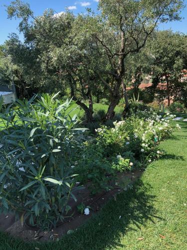 Apartamento Villa Il Bacio Del Sole