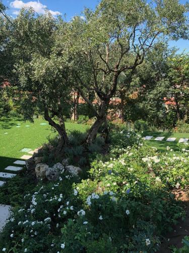 Apartamento Villa Il Bacio Del Sole