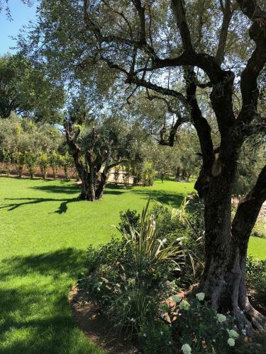 Apartamento Villa Il Bacio Del Sole