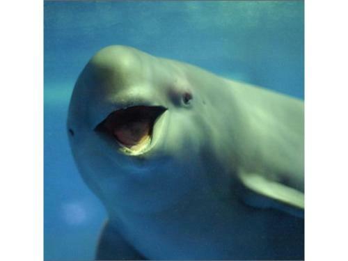 En Hotel Hiroshima - Vacation Stay 45750v