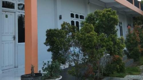 Hostal Griya Asri Ende Tengah