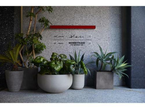 Hotel The Knot Hiroshima - Vacation Stay 48540v