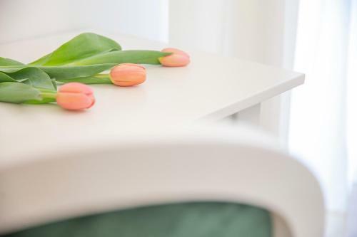 Crys: Apartments, Holiday, Business, Verde