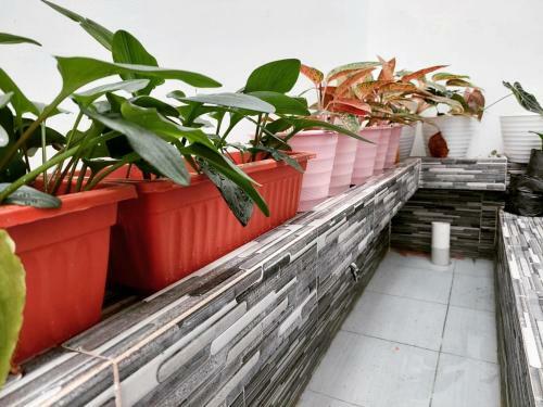 Homestay Rumah Cantik Gg