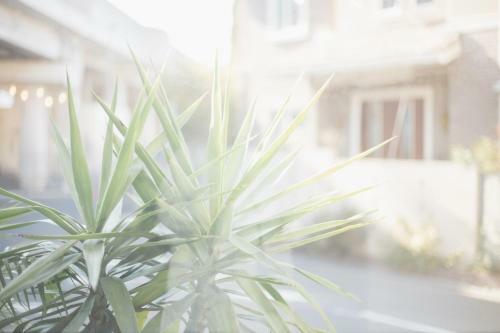 Albergue Orange County Guest House