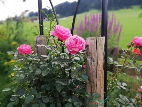 Hostal G�stehaus Jochberg