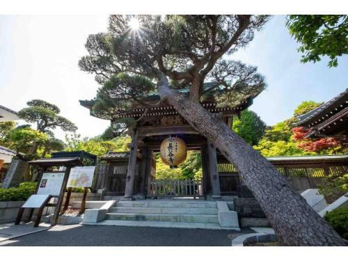 Hostal Kamakura Rakuan - Vacation Stay 24892v