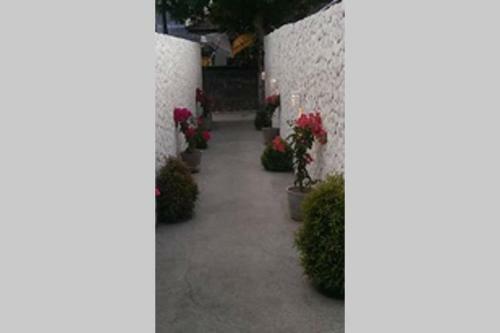 Greentree Satu Villa