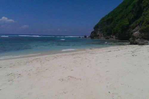 Greentree Satu Villa