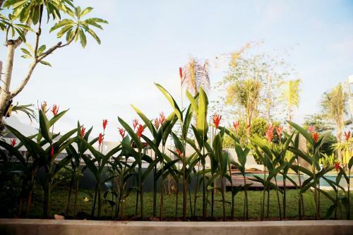 Hostal Vanilla Suite Jimbaran