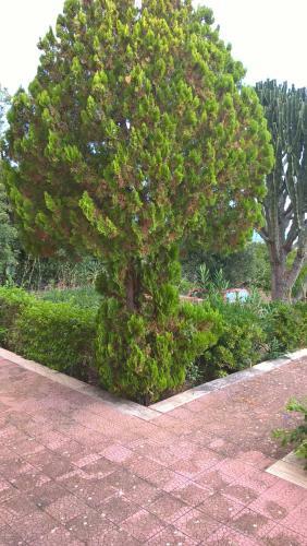 Agroturismo Villa Grazia - Casa Romeo