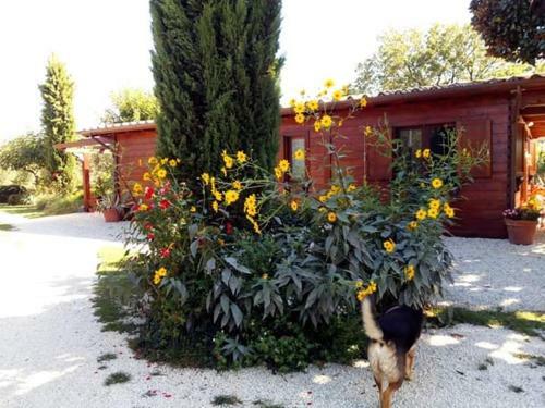 Hostal Il Casale Di Rosaria
