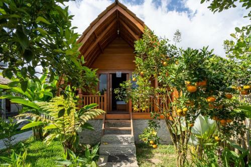 Bed & Breakfast Sandan Agro Resort Kintamani