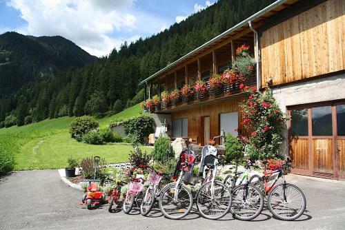 Apartamento Hofchalet Alm - �rlerhof