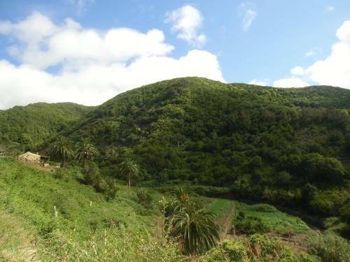 Casa Rural El Rinc�n De Antonia