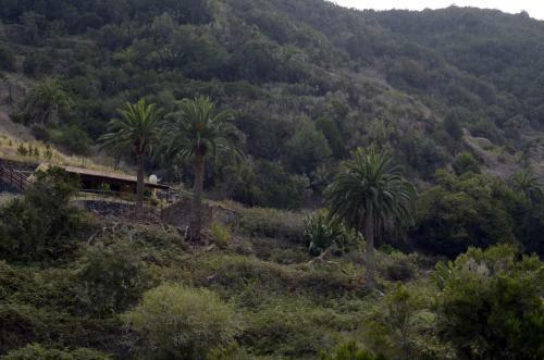 Casa Rural El Rinc�n De Antonia