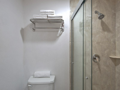 Wyndham Garden Hotel Irapuato