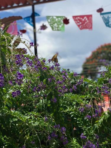 Hotel El Rinc�n De Do�a Bety