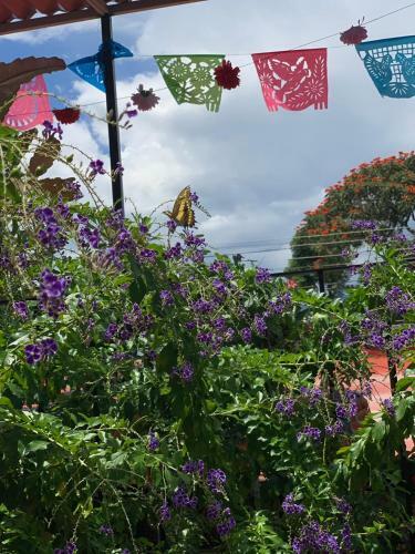 Hotel El Rinc�n De Do�a Bety