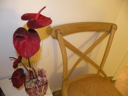 Apartamento La Casa Dels Abeuradors