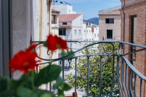 Apartamento La Casa Dels Abeuradors